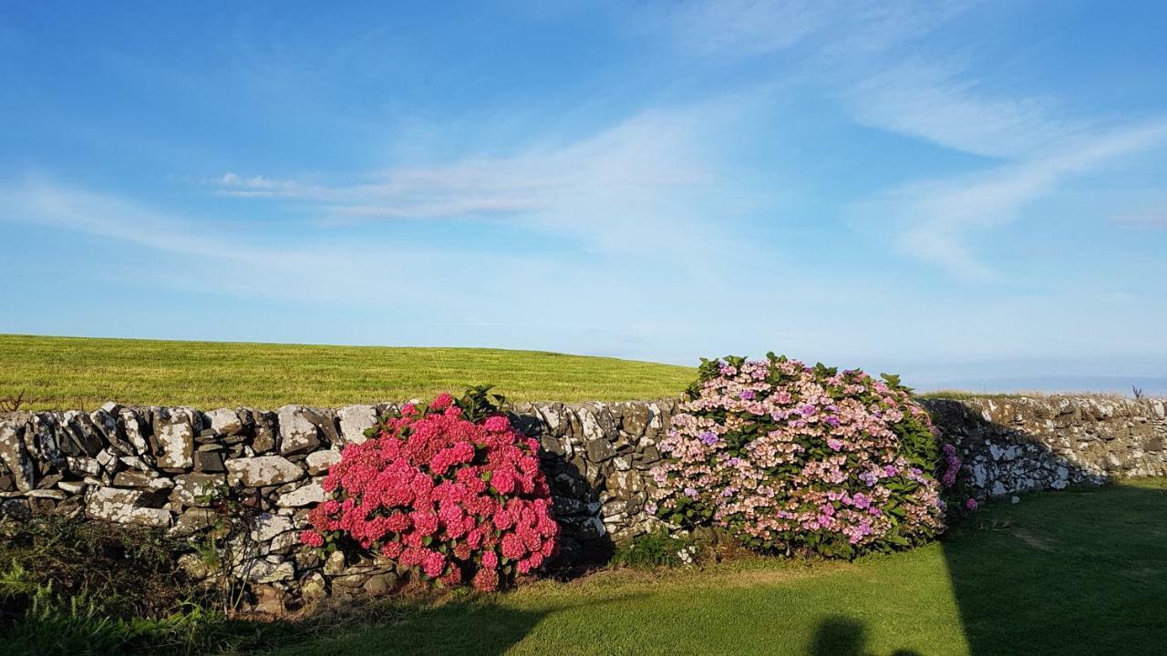 Villa 31 Laigh Isle à Isle of Whithorn Extérieur photo